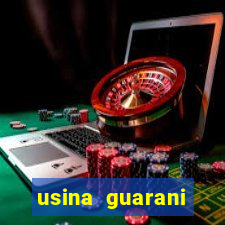 usina guarani tereos tanabi